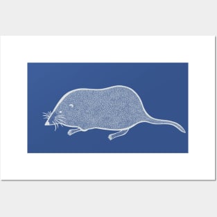 Pygmy Shrew - detailed hand drawn cute shrew design Posters and Art